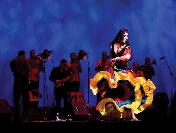 Uluslararası Roman Festivali