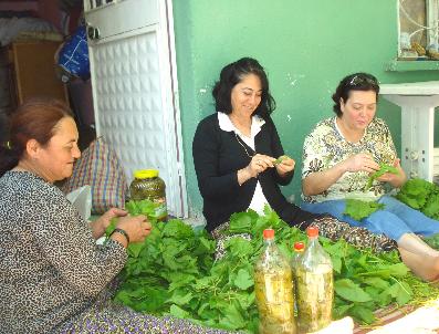 Sarıgöl’De Salamura Yapımı