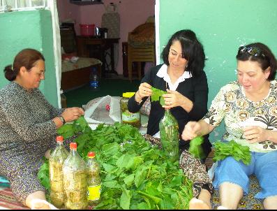 Sarıgöl‘de Salamura Yapımı