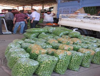 Erikte Rekolte Düşük, Fiyat İdareli
