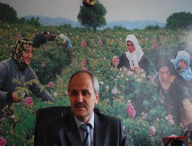 Gül Alım Kampanyası Başladı, Üretici Bu Sezon 2,5 Lira Fiyat Bekliyor