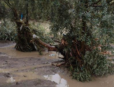 TARıM VE KÖYIŞLERI BAKANLıĞı - Afet Yardımlarının Ödenmesine Başlandı