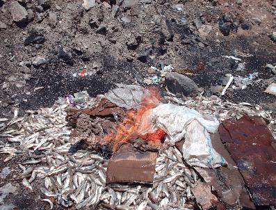 Edremit‘te 250 Kilo Kaçak Avlanmış Balık Ele Geçirildi