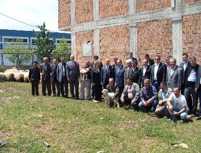 Fatsa‘da Çiftçiye Koyun Desteği