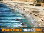 İptal edilen tatbikatlarla ilgili soru işaretleri çoğalıyor