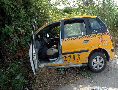 Taksi Portakal Bahçesine Girdi