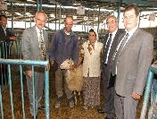 Denizli‘de 10 Aileye 180 Küçükbaş Hayvan Dağıtıldı