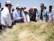 Diyarbakır‘da Tarla Günü Kutlaması