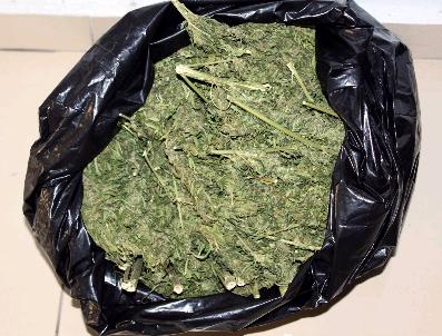 Gaziantep‘te Esrar Operasyonu