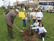 Palandöken Belediyesi Öğrencilerle Ağaç Dikti