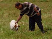 Av Köpekleri Yarıştı