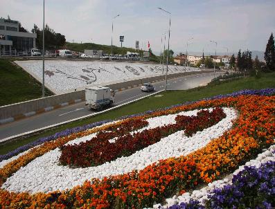 Denizli Rengarenk Çiçek Açtı