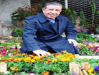 SÜMER ORAL - Mhp Adayı Eski Bakan Oral: 