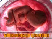 Bebekler dondurularak yaşama döndürülecek