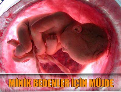 Bebekler dondurularak yaşama döndürülecek