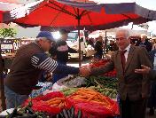 Çanakkale Bağımsız Milletvekili Adayı Özcan Gelibolu‘da