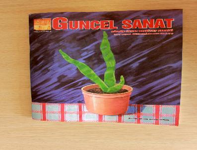 KAYGUSUZ ABDAL - Özbekistanlı Edebiyatçılar Güncel Sanat Dergisi’Nde Yazdı