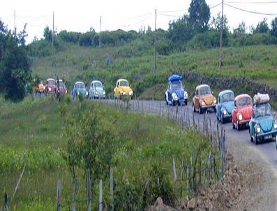 VOSVOS - Vosvoslar Yeniden Yaylalarda Buluşacak