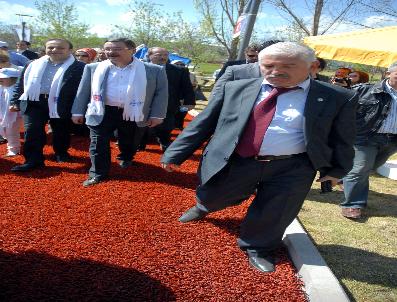AVRUPA GÜNÜ - Başmüzakereci Bağış, Avrupa Treni İle Ab‘ye Mesaj Gönderdi