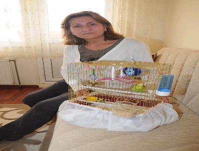 Eşi Ve Oğlu Tarafından Terk Edilen Şehit Annesini İşadamı Unutmadı