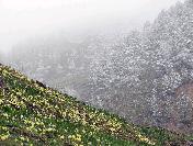 Gümüşhane‘de Kar Yağışı