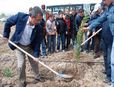 Karatay‘da İzcilere Orman Alanı Oluşturuldu