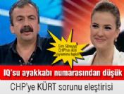 Sırrı Süreyya'dan CHP'ye kürt sorunu eleştirisi