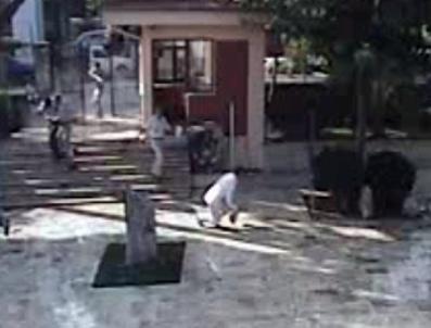 Tire‘deki Müze Baskını