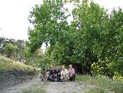 Çanakkale’De Anıt Ağaçların Tespitiyle İlgili Çalışma Başlatıldı