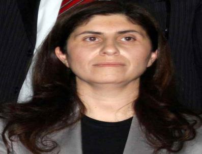 GALIP ENSARIOĞLU - Diyarbakır-Ak Parti Adayı- Galip Ensarioğlu