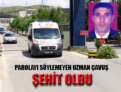 ÇEMBERLITAŞ - Parolayı söylemedi şehit oldu