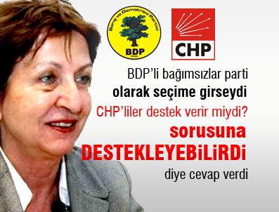 ACI KAHVE - CHP-BDP ittifakı tescillendi