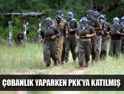 HÜSEYIN DOĞAN - Çobanlık yaparken PKK'ya katılmış