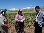 Kaymakam Çapaçı Kadınları Ziyaret Etti