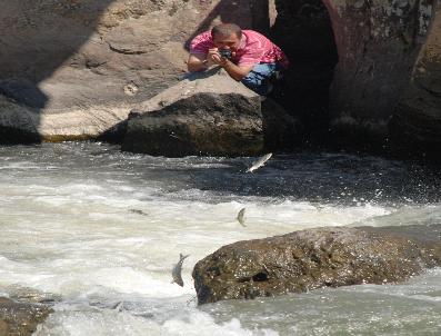 RAMAZAN FANI - Van Gölü'Nde İnci Kefali Dansı