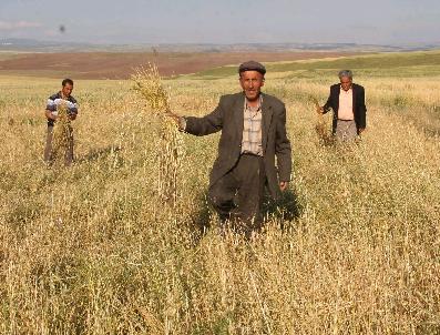 Tungi orgazm 2011 porno