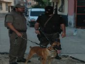 Adana'da 'Narko-Terör' operasyonu