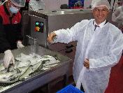 ‘Baba Memleketi‘ Malatya‘ya 15 Milyon Tl‘lik Su Ürünleri Yatırımı Yaptı