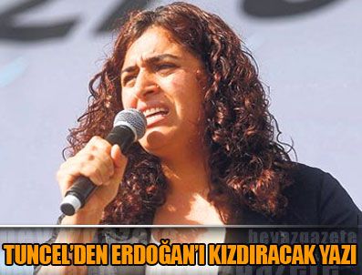 SEBAHAT TUNCEL - Sebahat Tuncel'den Erdoğan'ı kızdıracak yazı