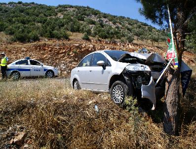 Ağaç Hayatını Kurtardı