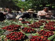 Belenbaşı‘n Da 7‘Nci Kez En Güzel Kiraz Seçilecek