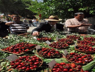 Belenbaşı‘n Da 7‘Nci Kez En Güzel Kiraz Seçilecek