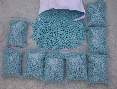 Gençlerin Yeni Merakı ‘Bonzaı‘