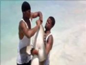 Köpekbalığına 'bahşiş' işkencesi