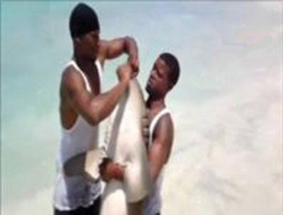 DOMINIK CUMHURIYETI - Köpekbalığına 'bahşiş' işkencesi