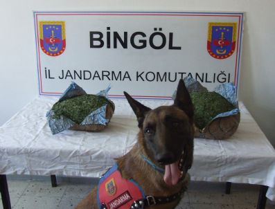 Yolcu Otobüsünde Esrar Ele Geçirildi