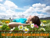 Sinekler AIDS virüsü taşır mı?