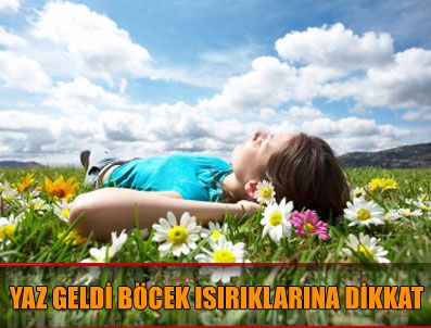 Sinekler AIDS virüsü taşır mı?