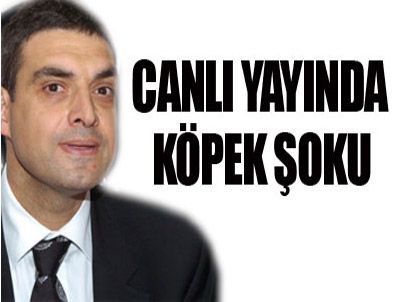 UMUT ORAN - CHP'li Oran köpekten korktu