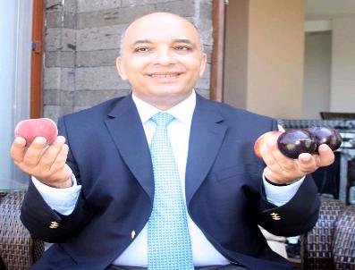 Japon Eriğini Japonya‘ya İhraç Edecek